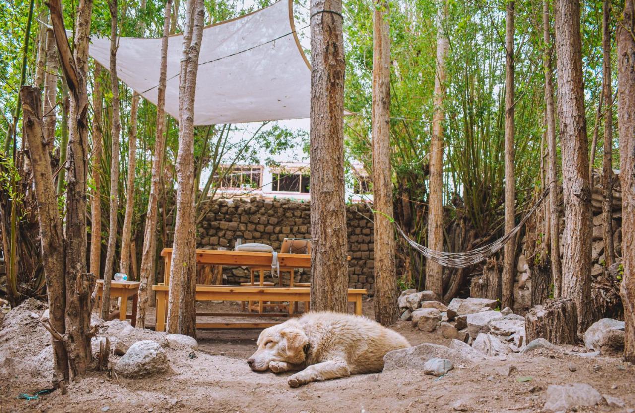 Raybo Hostel Λεχ Εξωτερικό φωτογραφία